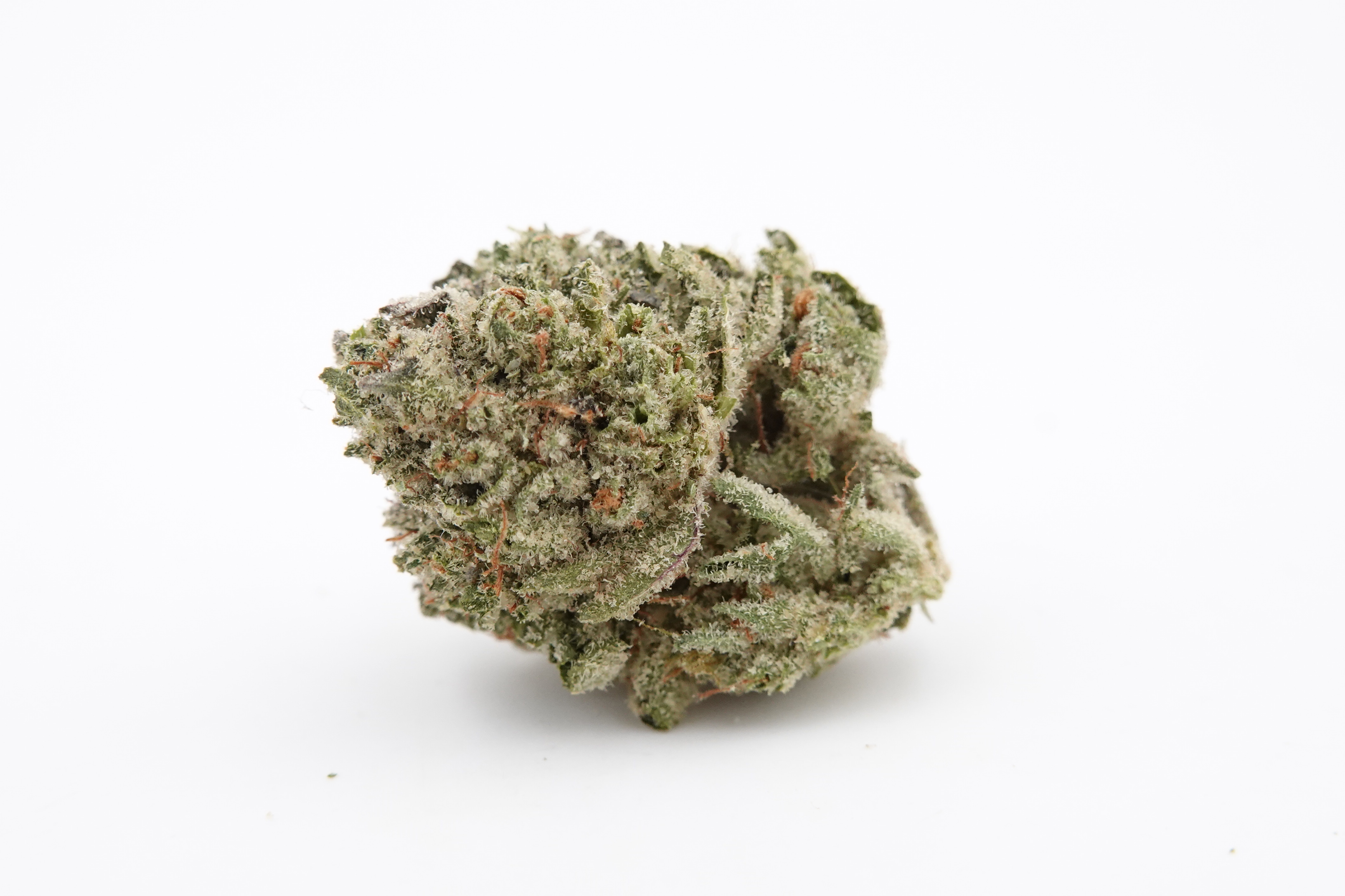 Photograph of product: Mango Sticky Rice - High Tech Farms (S) - 28g