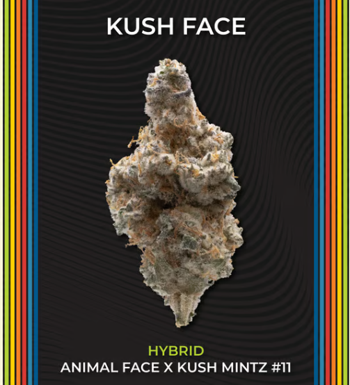 Photograph of product: Kush Face - 2.83g