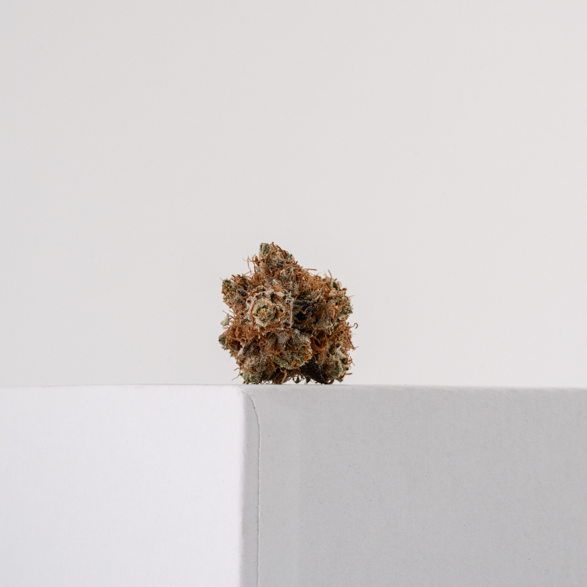 Photograph of Product: Platinum Sour Diesel - 28g