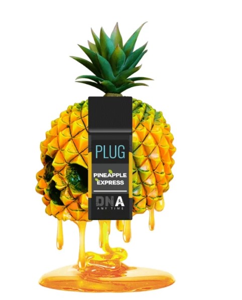 Photograph of product: DNA - PINEAPPLE EXPRESS 1G - PLUGPLAY