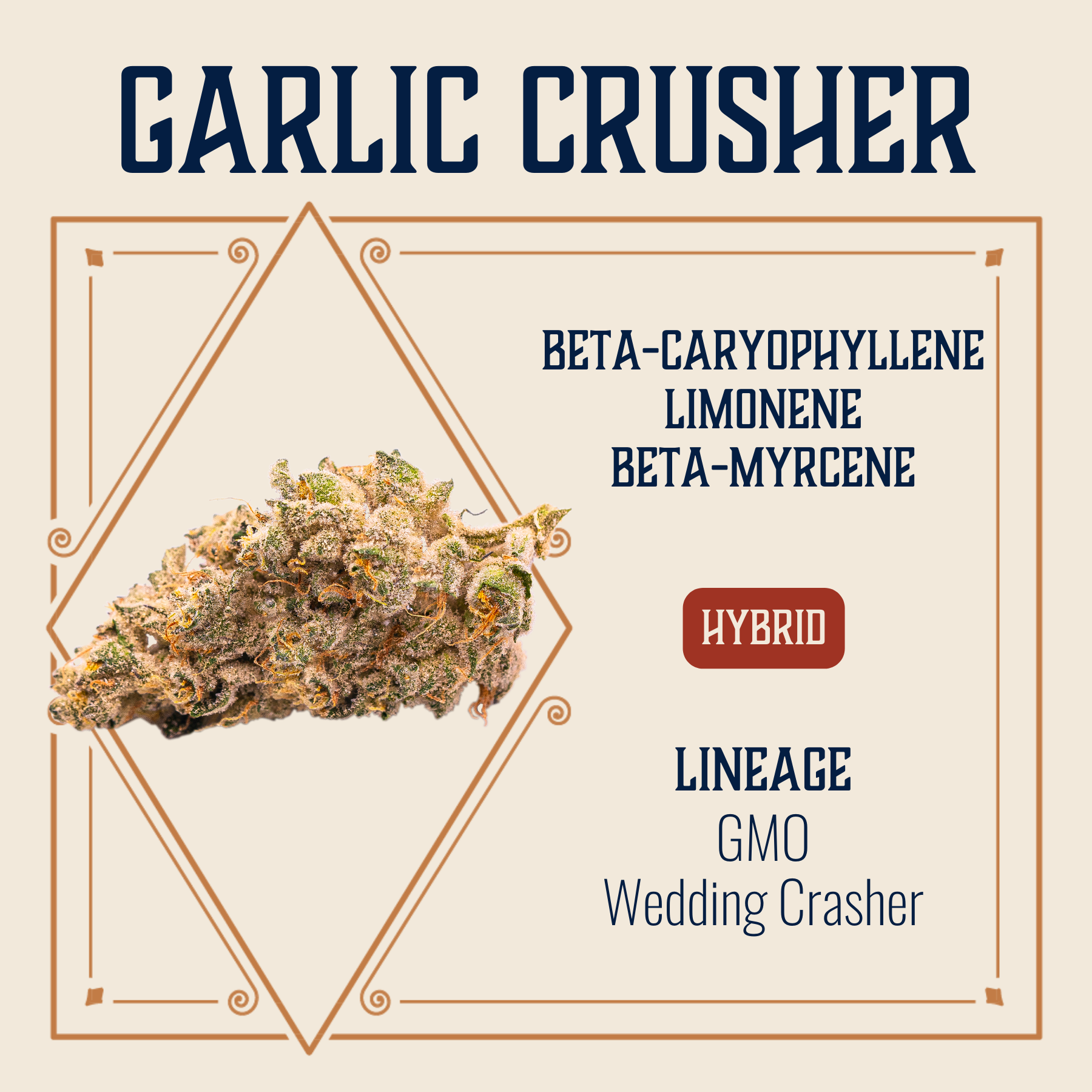 Photograph of product: Garlic Crusher Flower | 3.5g