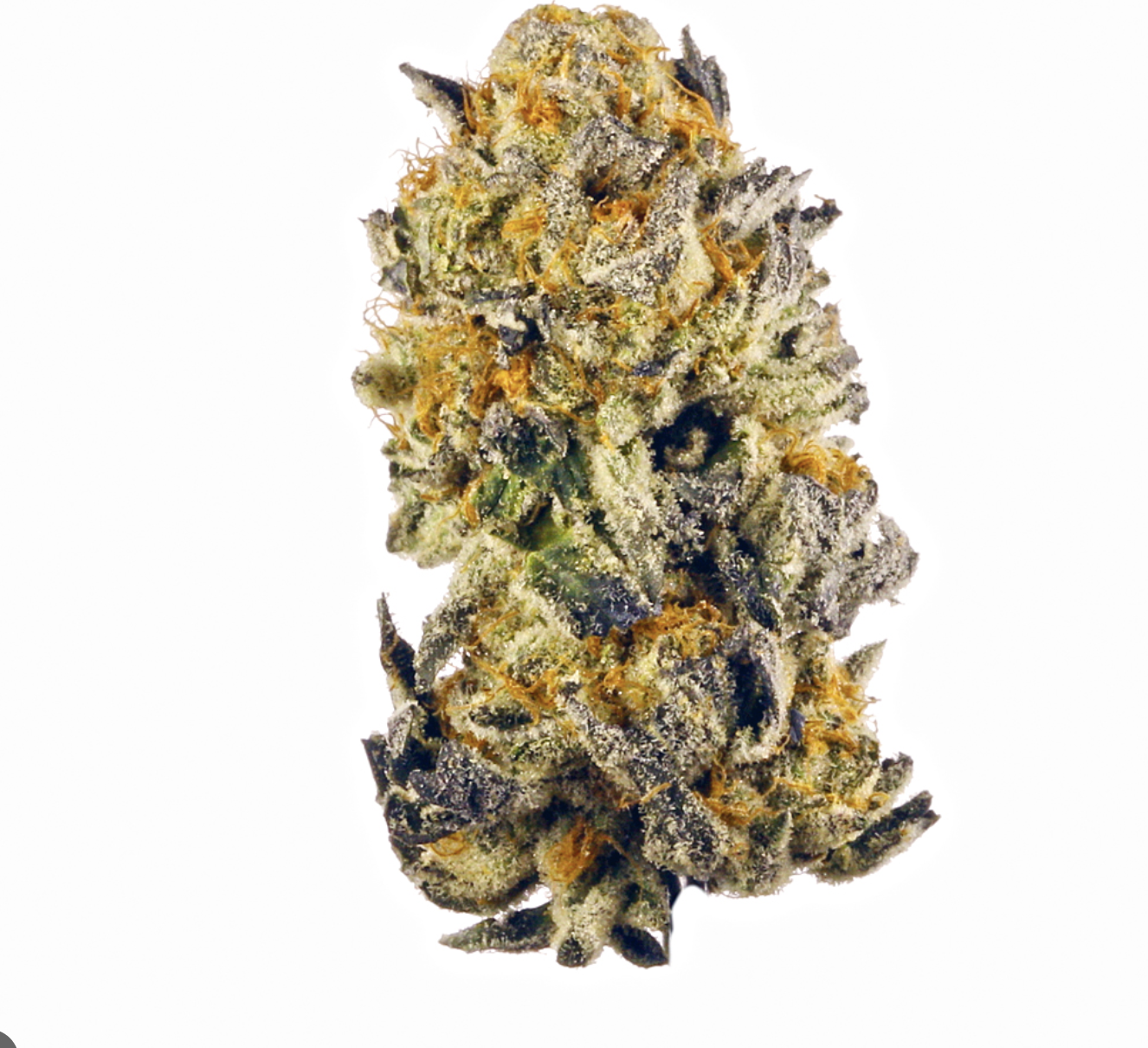 Photograph of product: Peach Crescendo Bulk - 28g