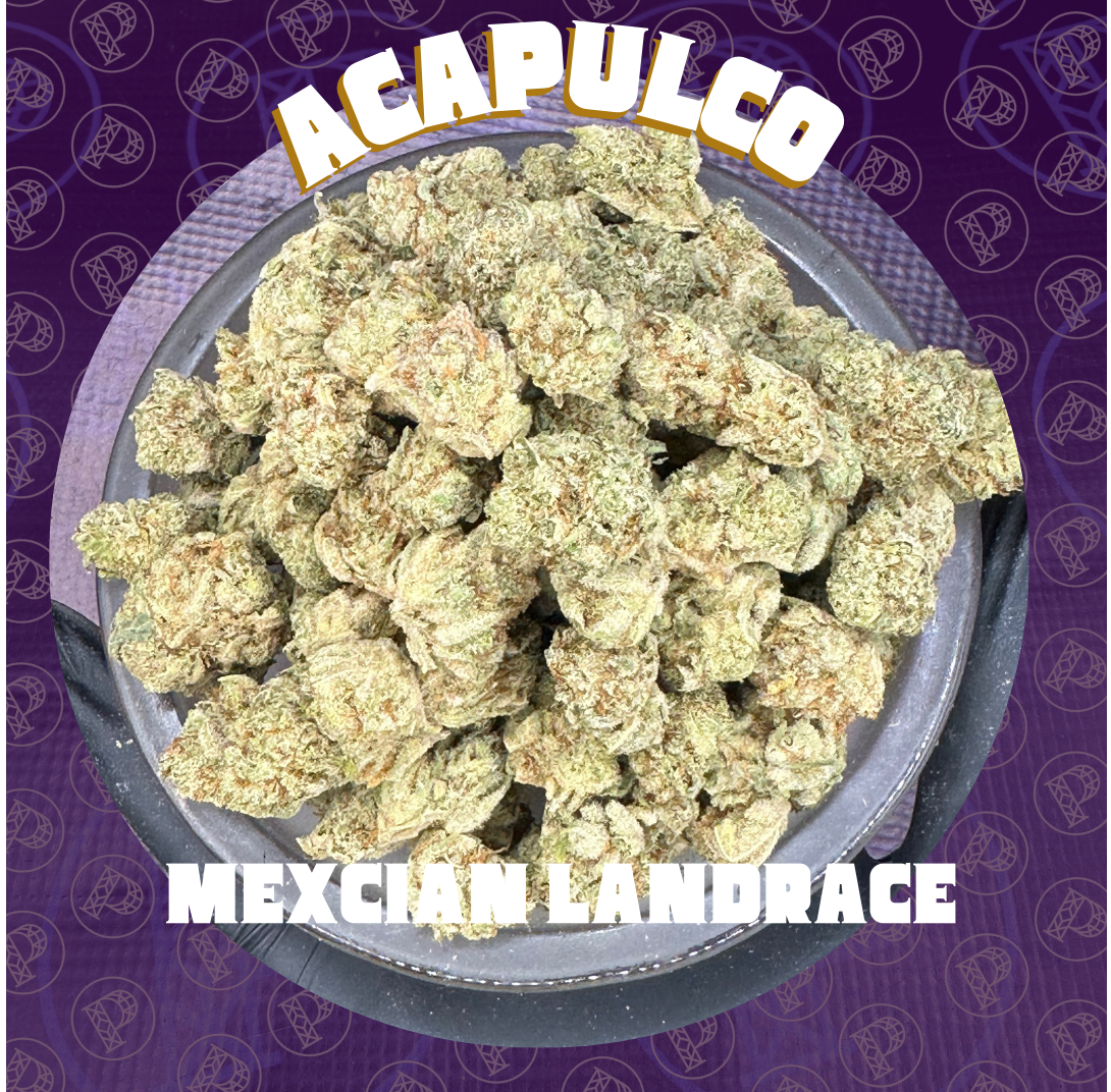 Photograph of product: Acapulco Gold - Elite Shelf Flower - 28g
