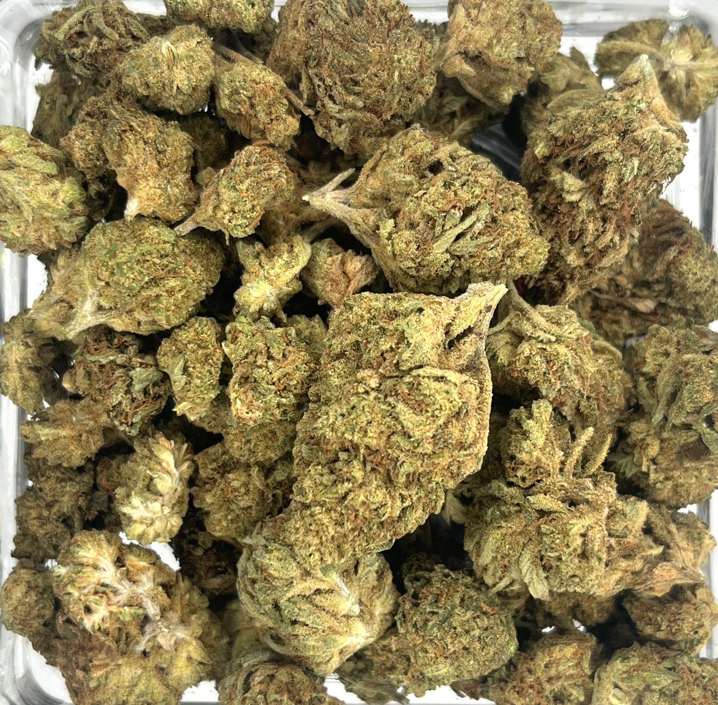Photograph of product: Flower - Mint Condition - 28g