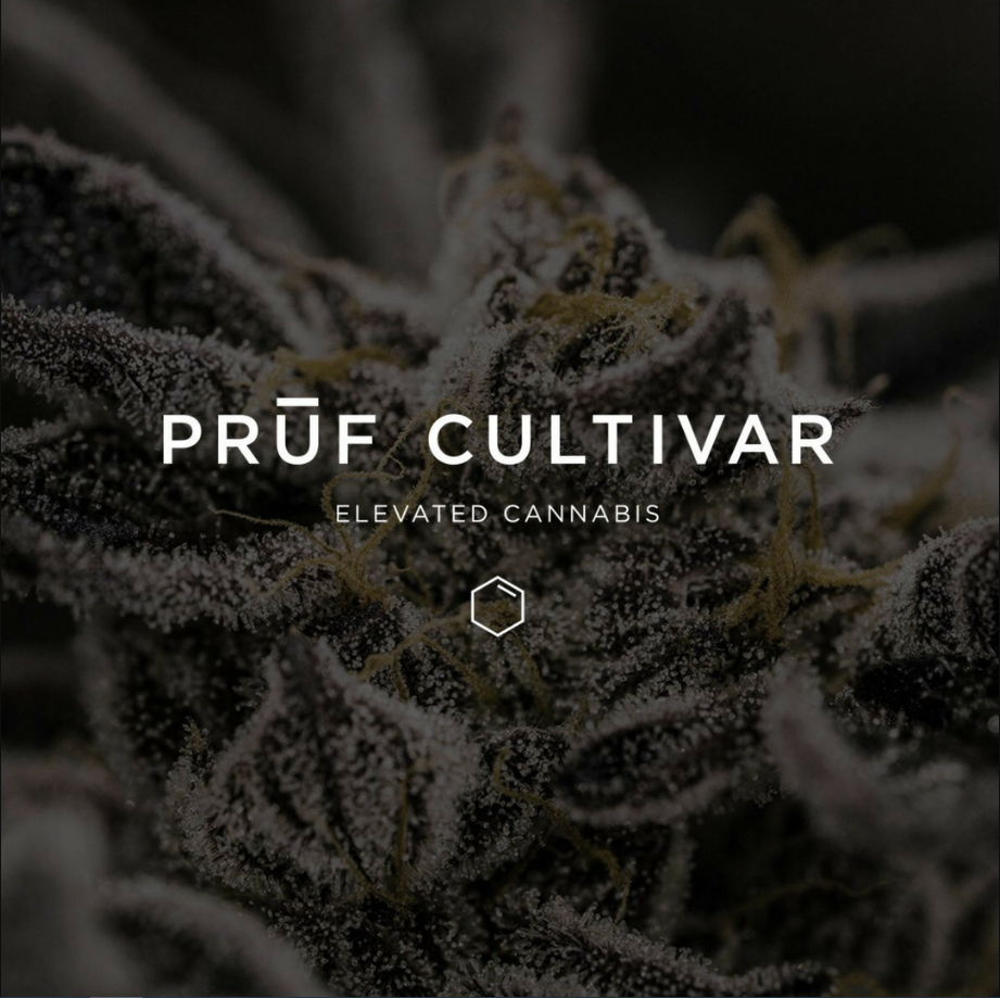 Photograph of product: Pruf Cultivar Peppermint Agave - 28g