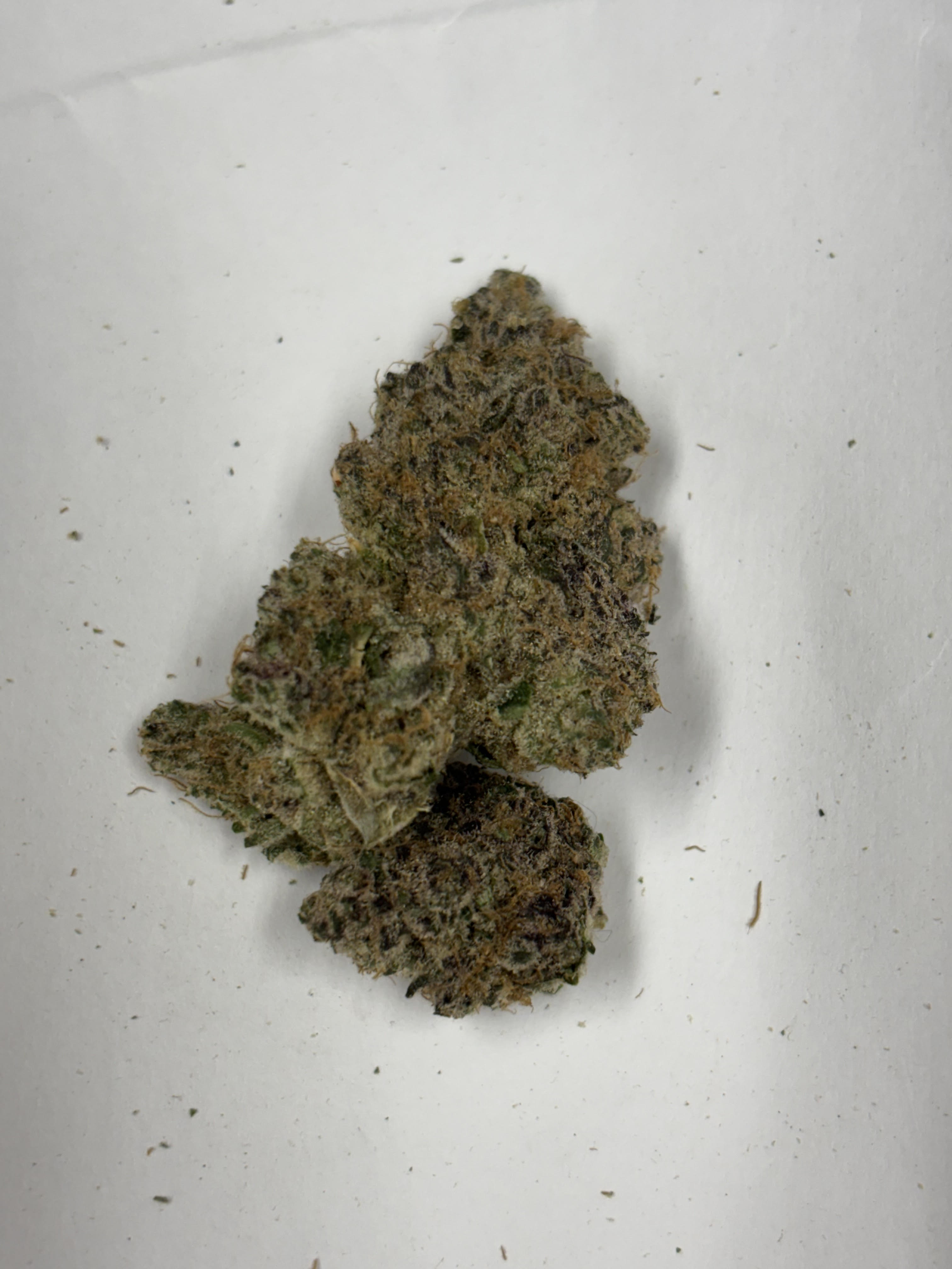 Photograph of product: Freedom Green Farms BoofScotti - 28g