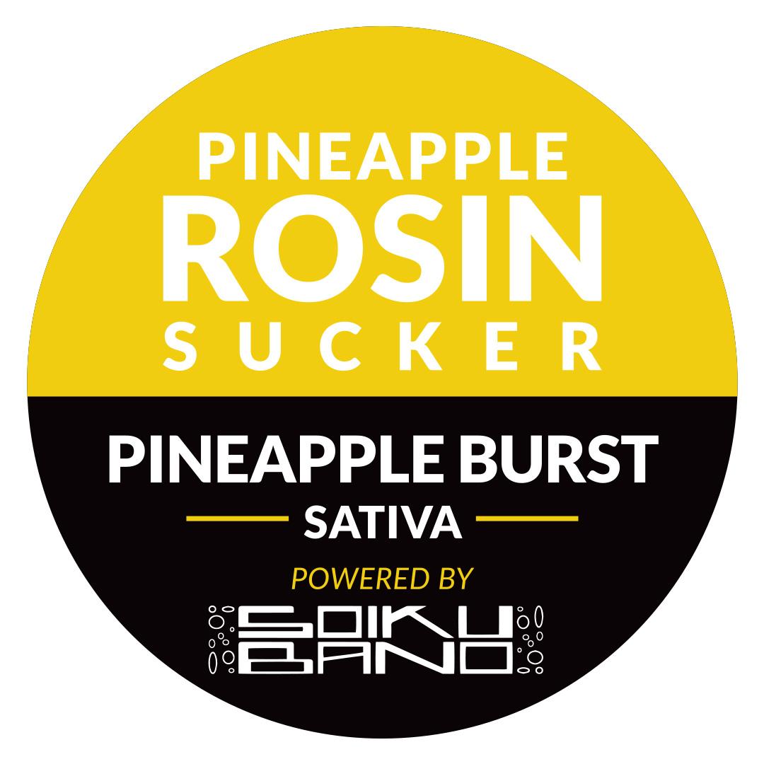 Photograph of product: Pineapple Rosin Sucker