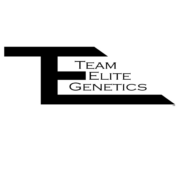 Photograph of product: DUMP TRUCK LIVE ROSIN AIO - 0.5 G