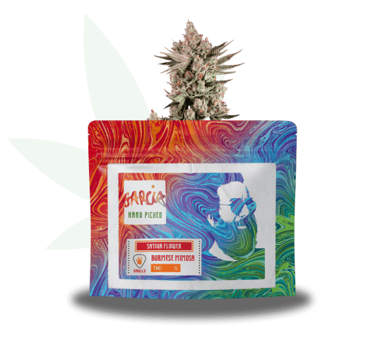 Photograph of product: Burmese Mimosa Flower | 14g | Garcia Hand Picked