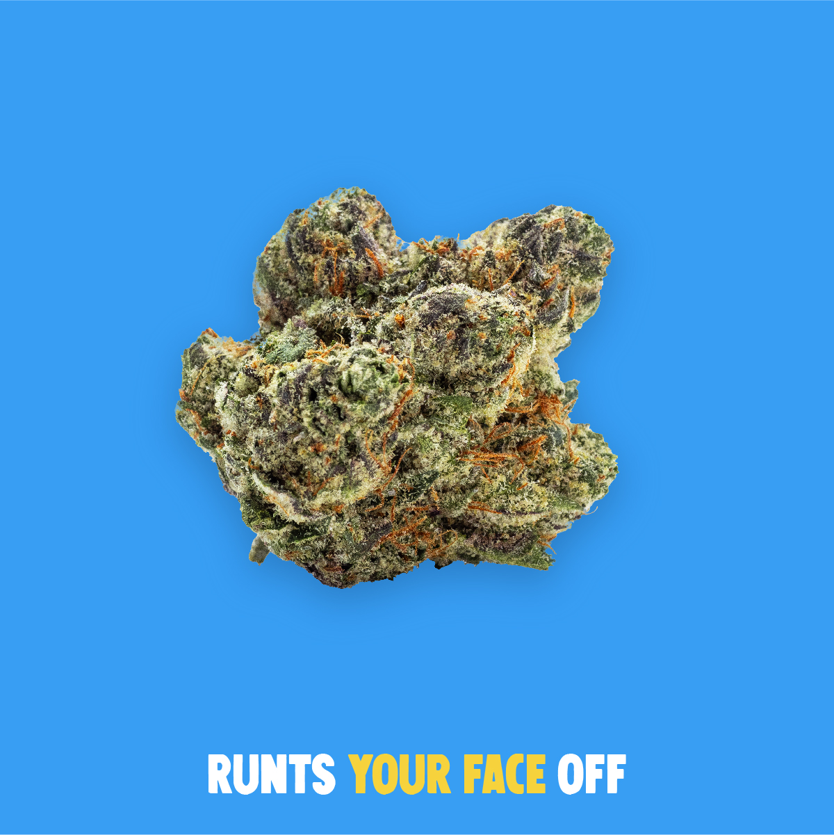 Photograph of product: Runtz Your Face Off Flower | 3.5g