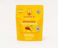 Photograph of product: Hamsa | Mango | Fast Acting Gummies | 100mg 10pk