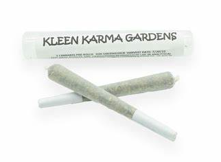 Photograph of product: Hippy Chicken | 2pk | 2g
