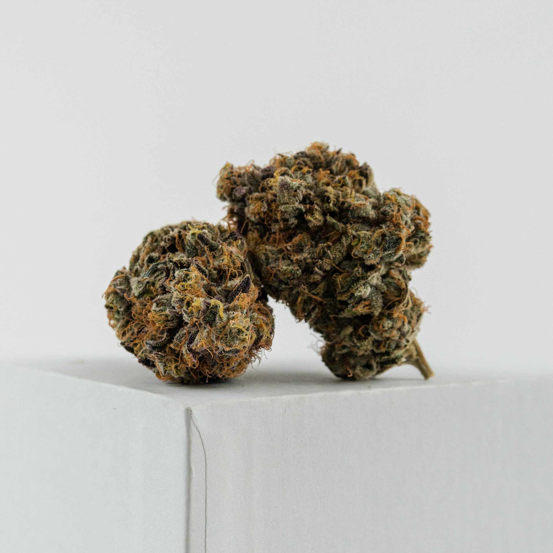 Photograph of product: Cherry Point - 14g
