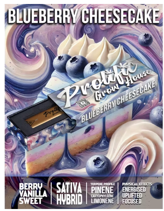 Photograph of product: Prolific Blueberry Cheesecake Disposable 1G