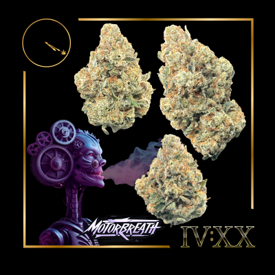 Photograph of product: Motorbreath Flower | 3.5g - Four20