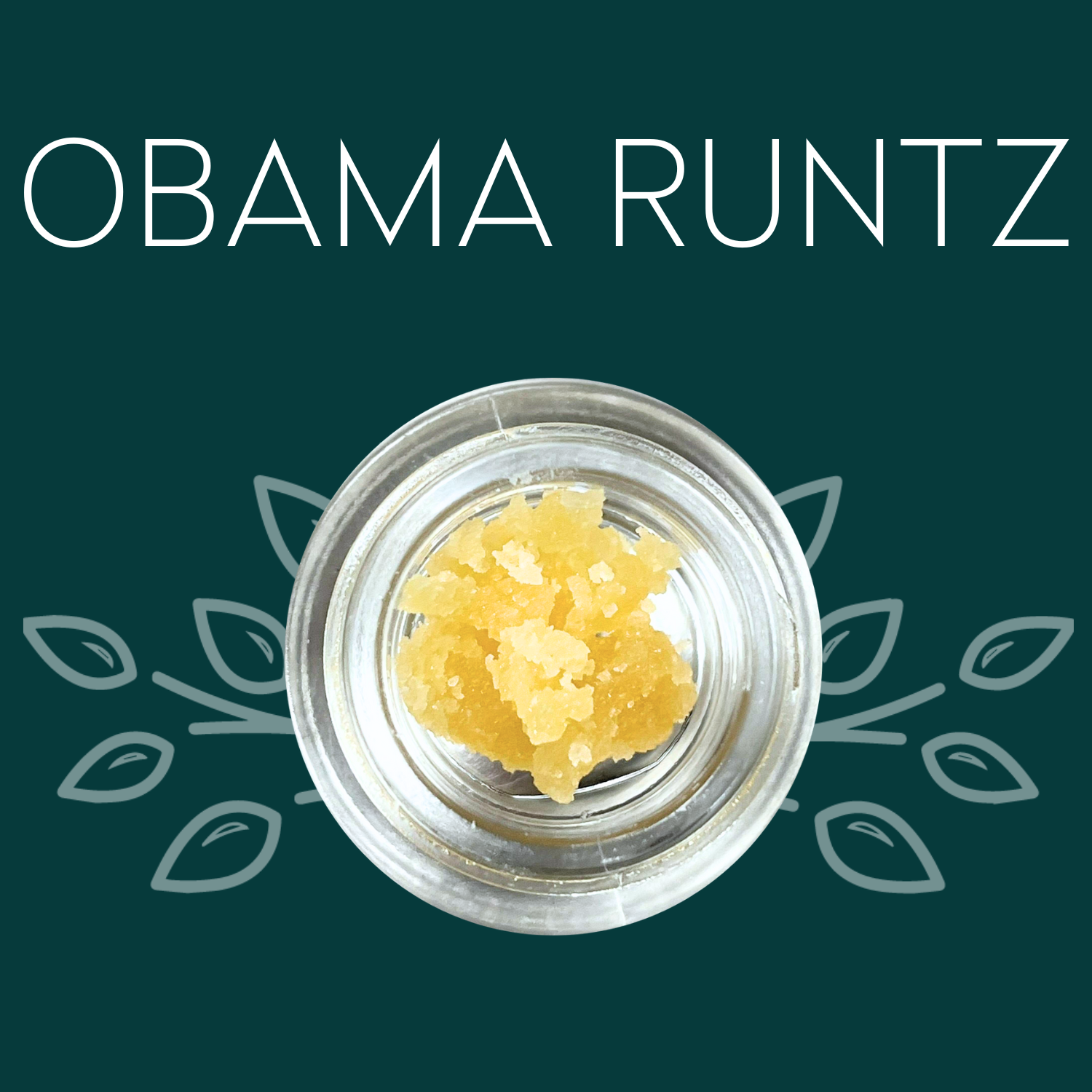 Photograph of product: Vana | Obama Runtz | Sugar | Oui'd-Hybrid