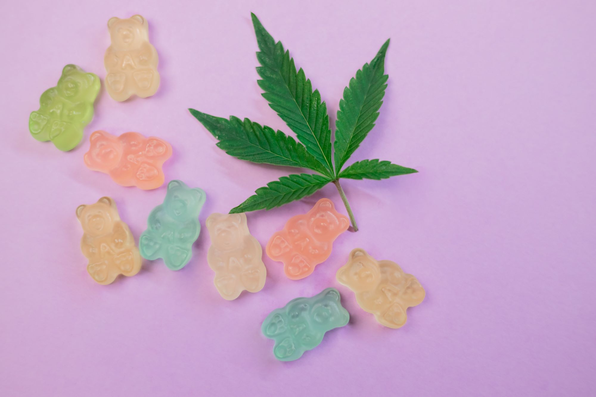 Photograph of product: [REC] Select RSo X Bites | Cherry Pie | 10pk/100mg Soft Chews