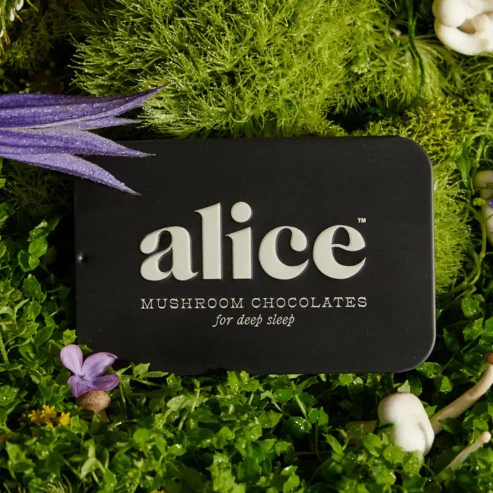 Photograph of product: Alice | Mushroom Chocolates |  Nightcap - Deep Sleep | 16 pcs