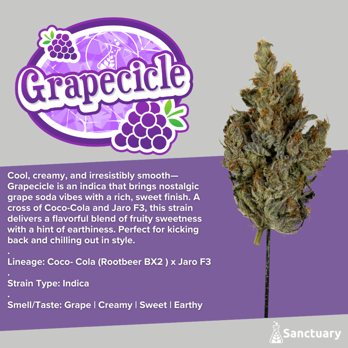 Photograph of product: Grapecicle - 28g