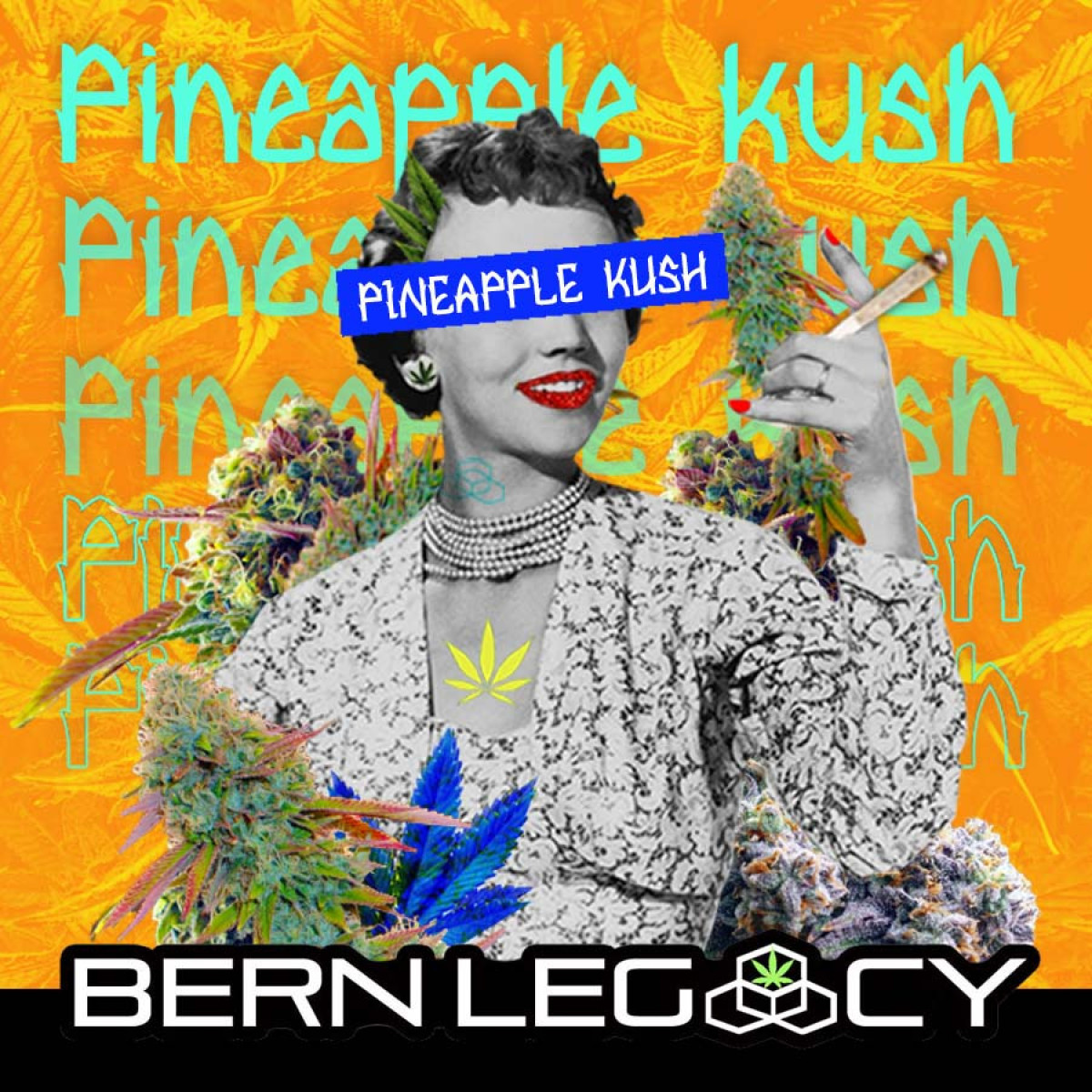 Photograph of Product: Bern Legacy | Pineapple Kush | Bulk Flower - 1g