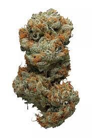 Photograph of product: Flower | Grapefruit Magoo - 28g