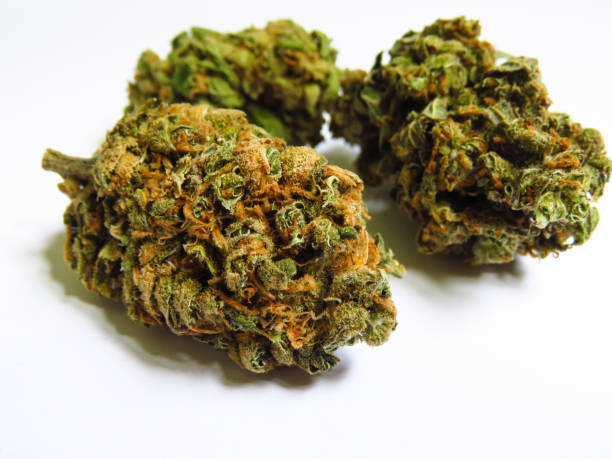 Photograph of product: Snowblower | $39 Oz Special - 28g