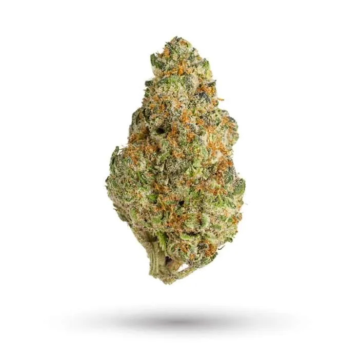 Photograph of product: Trail Mix | Flower | 3.5g