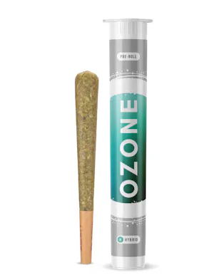 Photograph of product: Bananaconda #6 | Pre-Roll | 1g