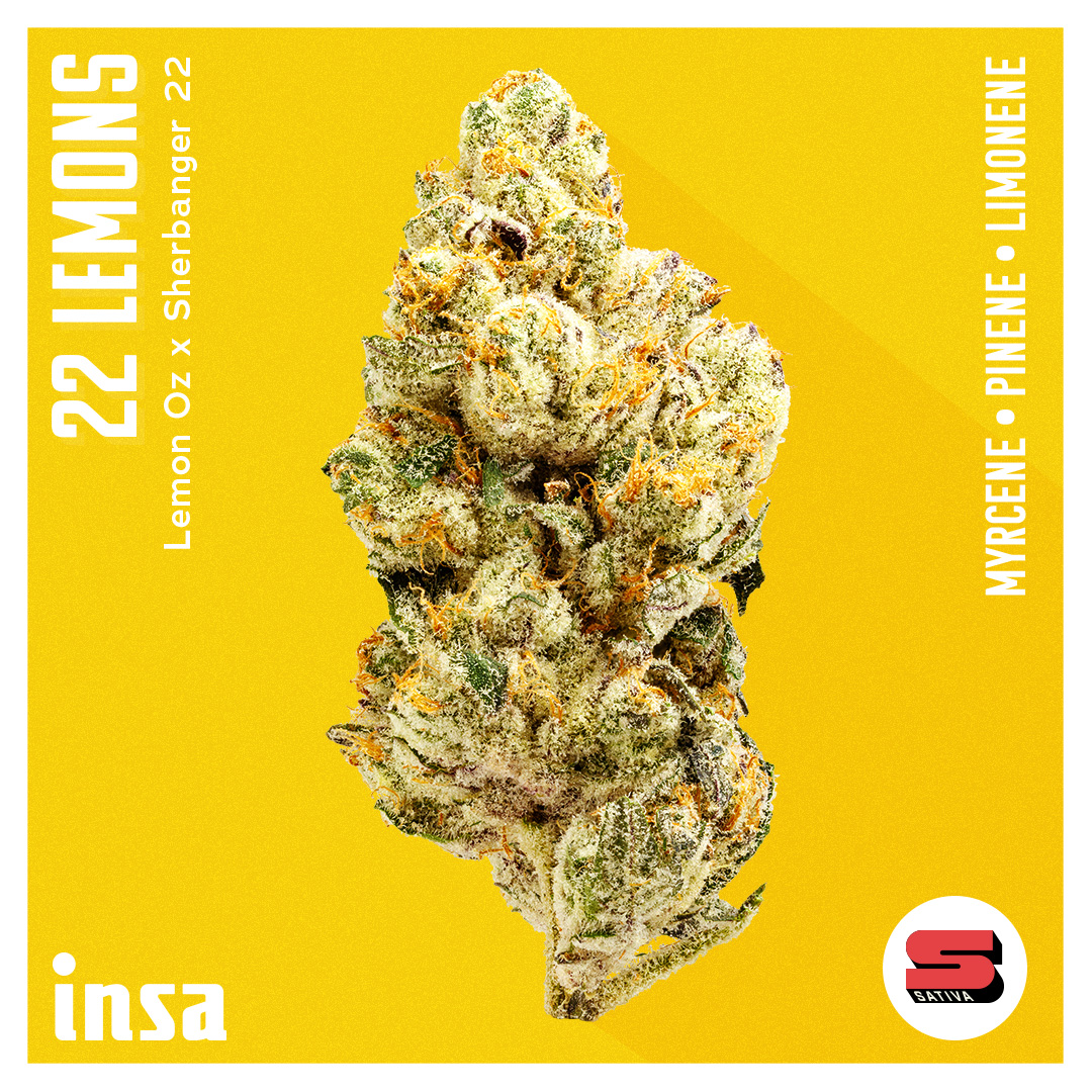 Photograph of product: Flower - 22 Lemons - 3.5g