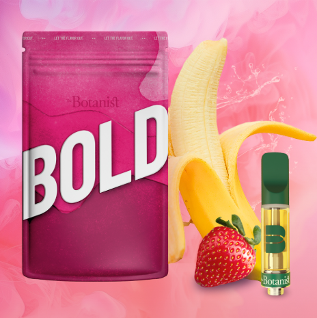 Photograph of product: Cartridge - The Botanist - BOLD Banana Berry (S) - 1g