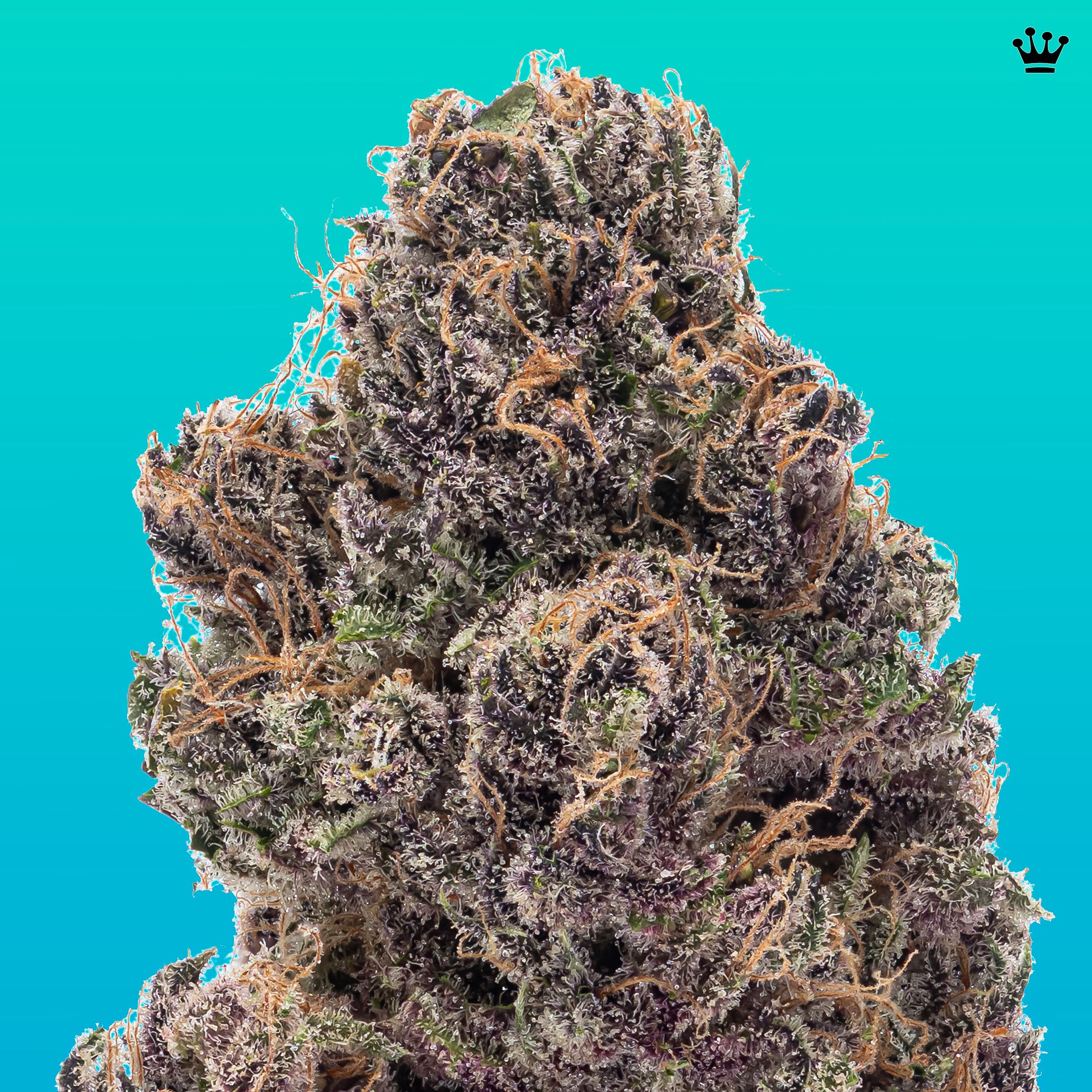 Photograph of product: Kind & Co // Jah Goo - 3.5g