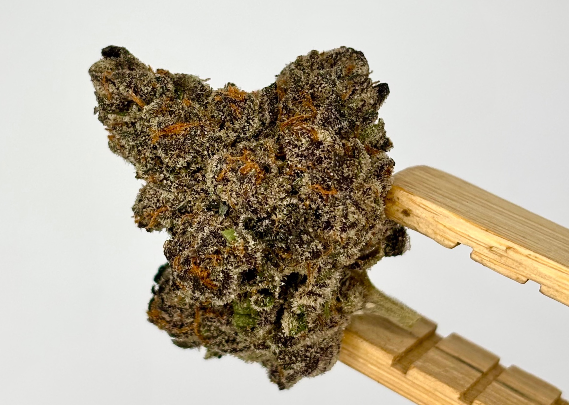 Photograph of product: DogHouse | California | Bulk Flower | Platinum Tier - 28g
