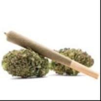 Photograph of product: Freak Genetixs > Pre Roll 10Pk x 0.75g > Lemon Cherry Gelato