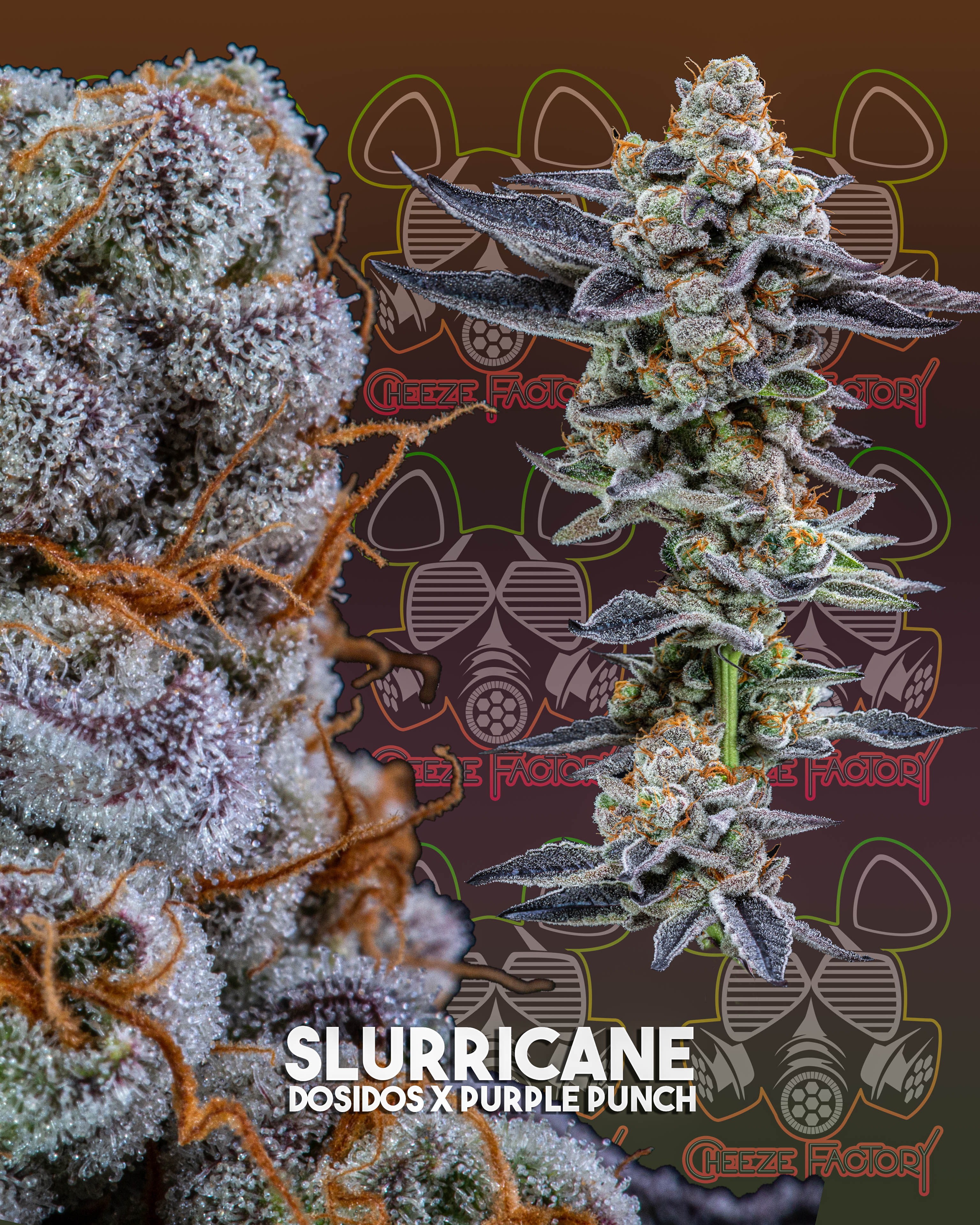 Photograph of product: Slurricane - 28g