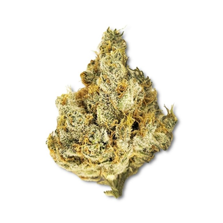 Photograph of product: Greasy Runtz (Feb. '25 Harvest) - 28g