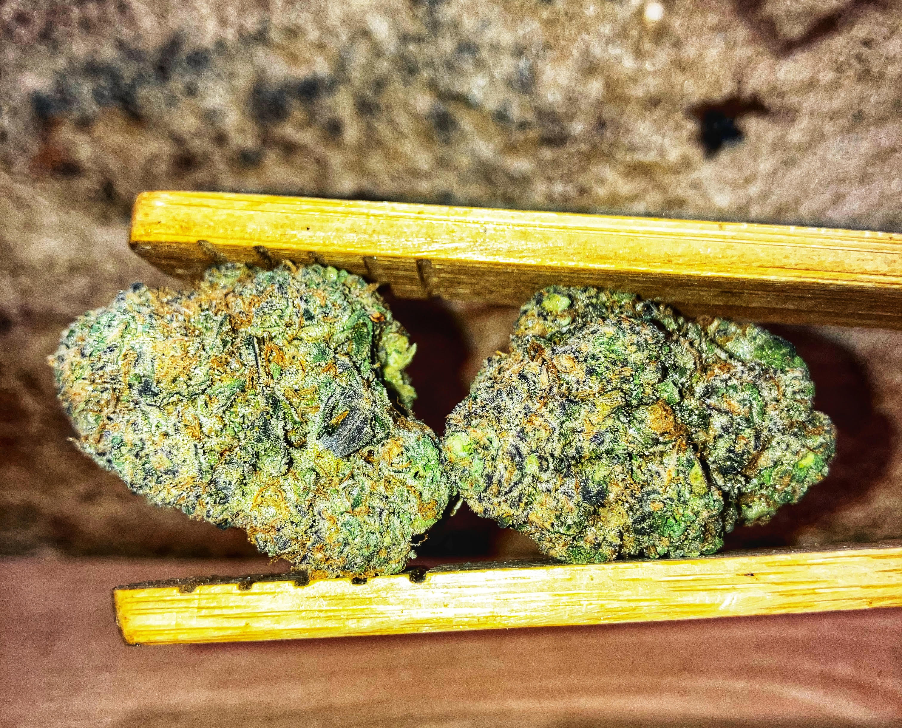 Photograph of product: SKUNK RUNTZ | 14G