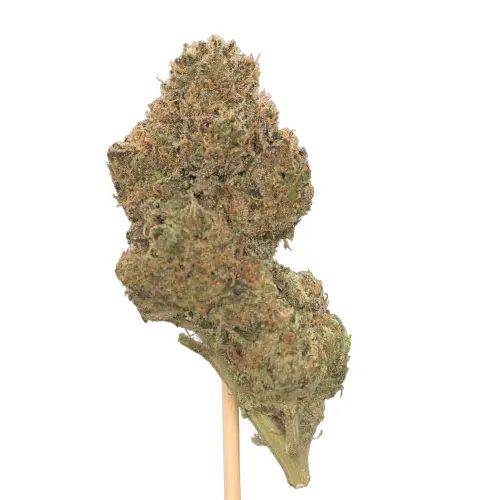 Photograph of product: Pancakes (London Pound Cake x Kush Mints) 7g