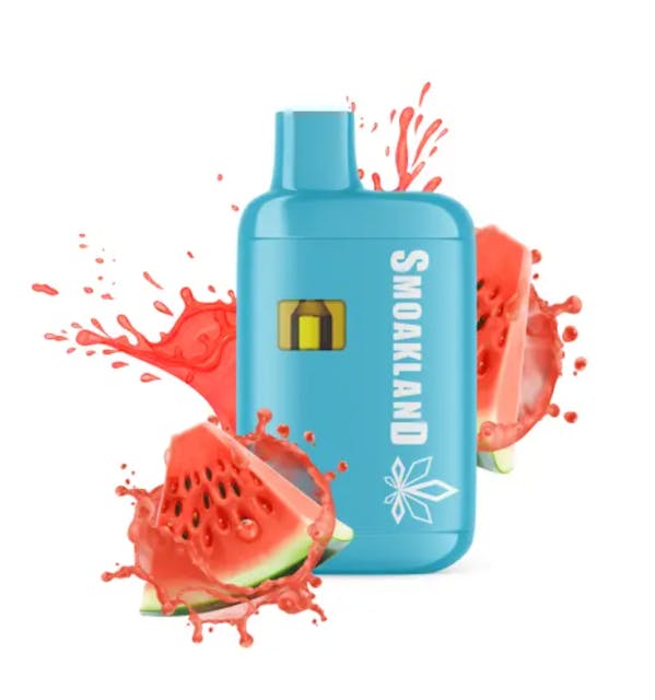 Photograph of product: Watermelon Push Pop | Feels | 1g AIO - 