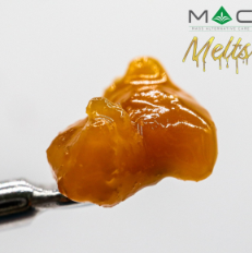 Photograph of product: Queen Mandarin - Badder - 1.0g