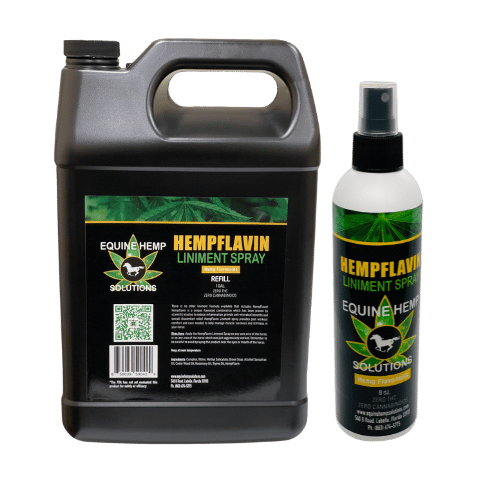 Photograph of product: Equine Liniment Spray - 8oz - Doctor's Hemp Solutions
