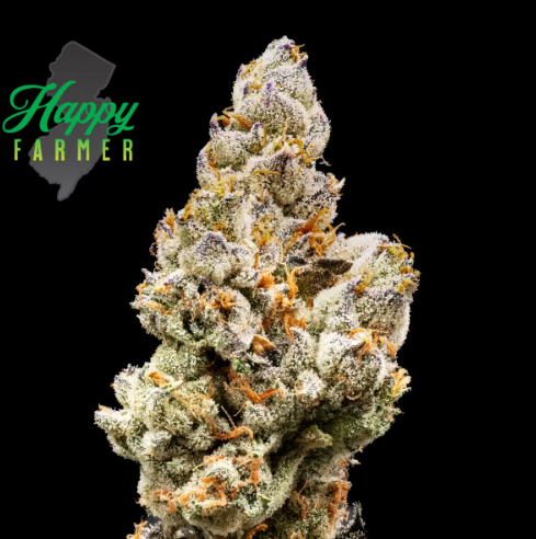 Photograph of product: Happy Farmer | Gunpowder Milkshake - 3.5g