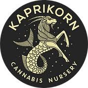 Photograph of product: Supreme Lee Hi/Amaretto Sour 10pk Half Gram Pre Rolls (Kaprikorn)