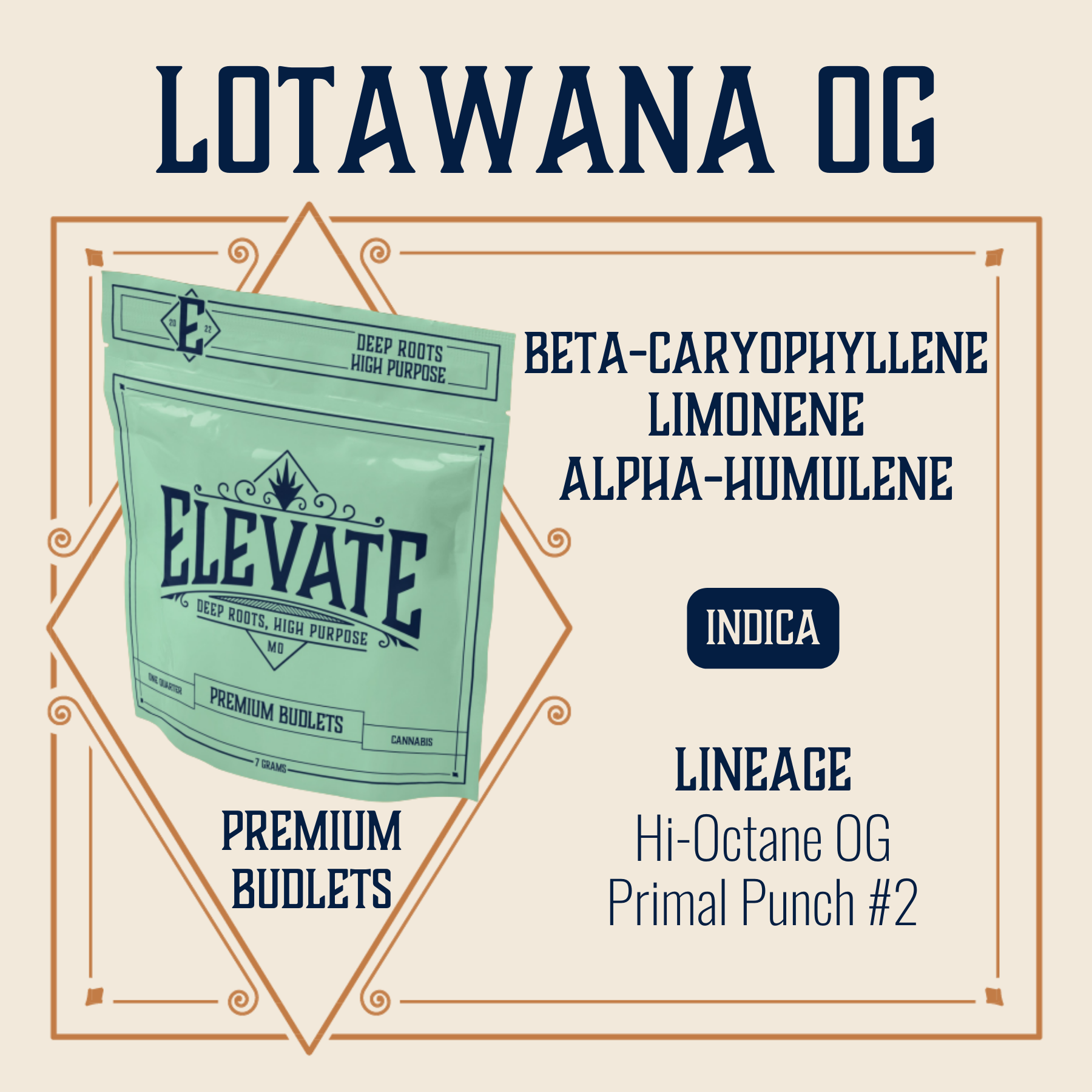 Photograph of product: Lotawana OG Budlets | 7g
