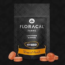 Photograph of product: Edible* - Floracal - Tropical Punch Rosin gummies (H) - 100mg (10pk)