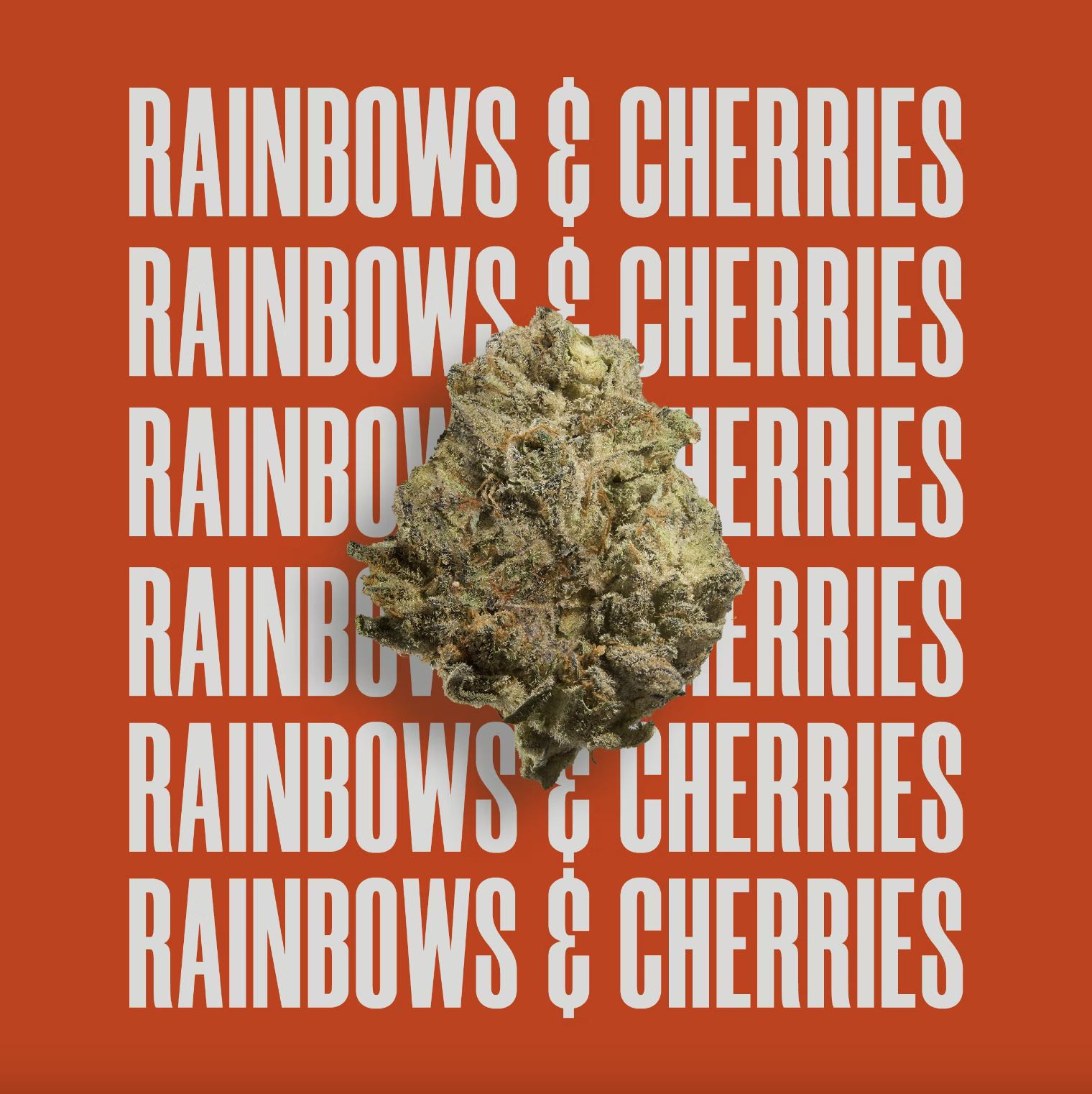 Photograph of product: Flower | Rise | Rainbows and Cherries - 3.5g