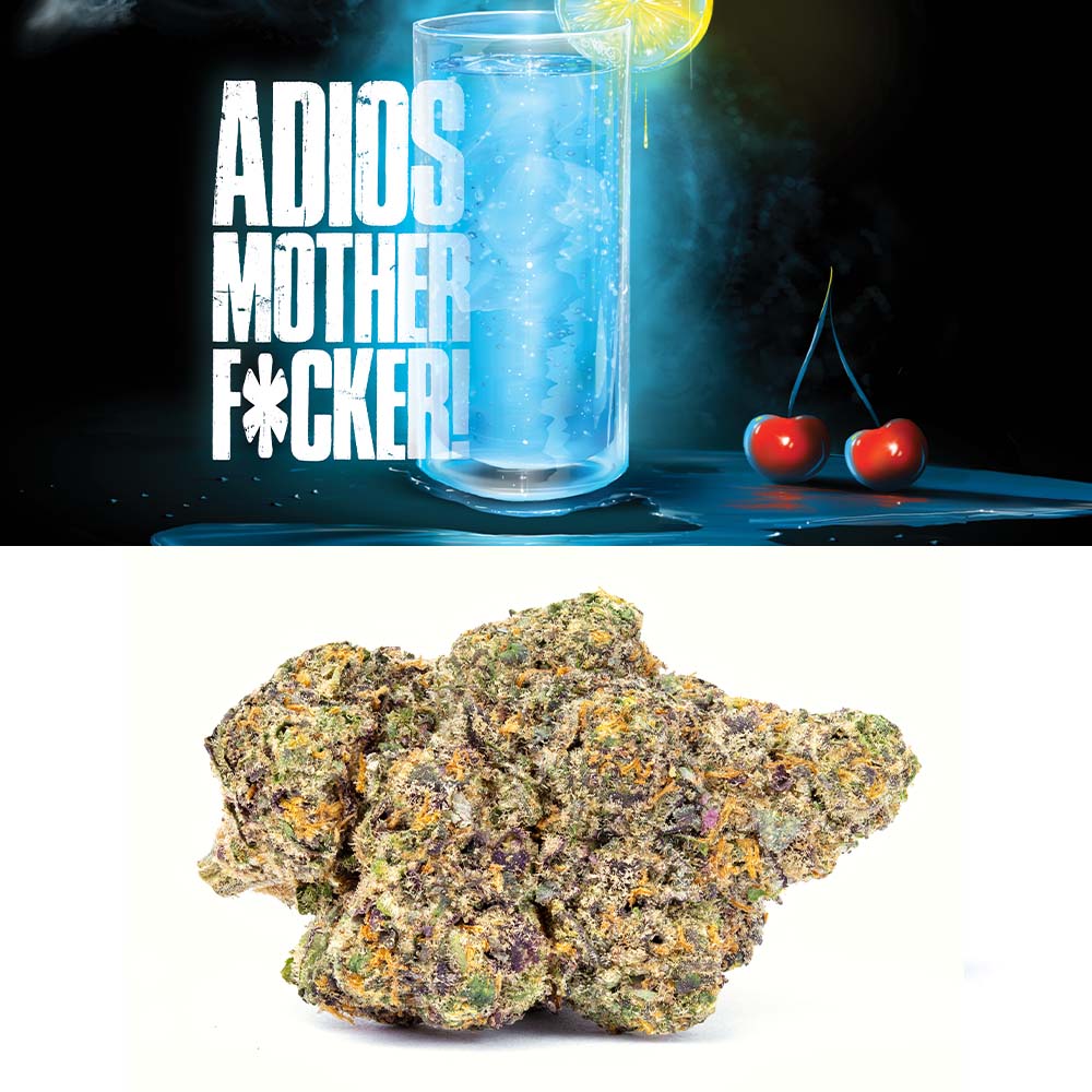 Photograph of product: Cookies - Gary Payton - 3.5g