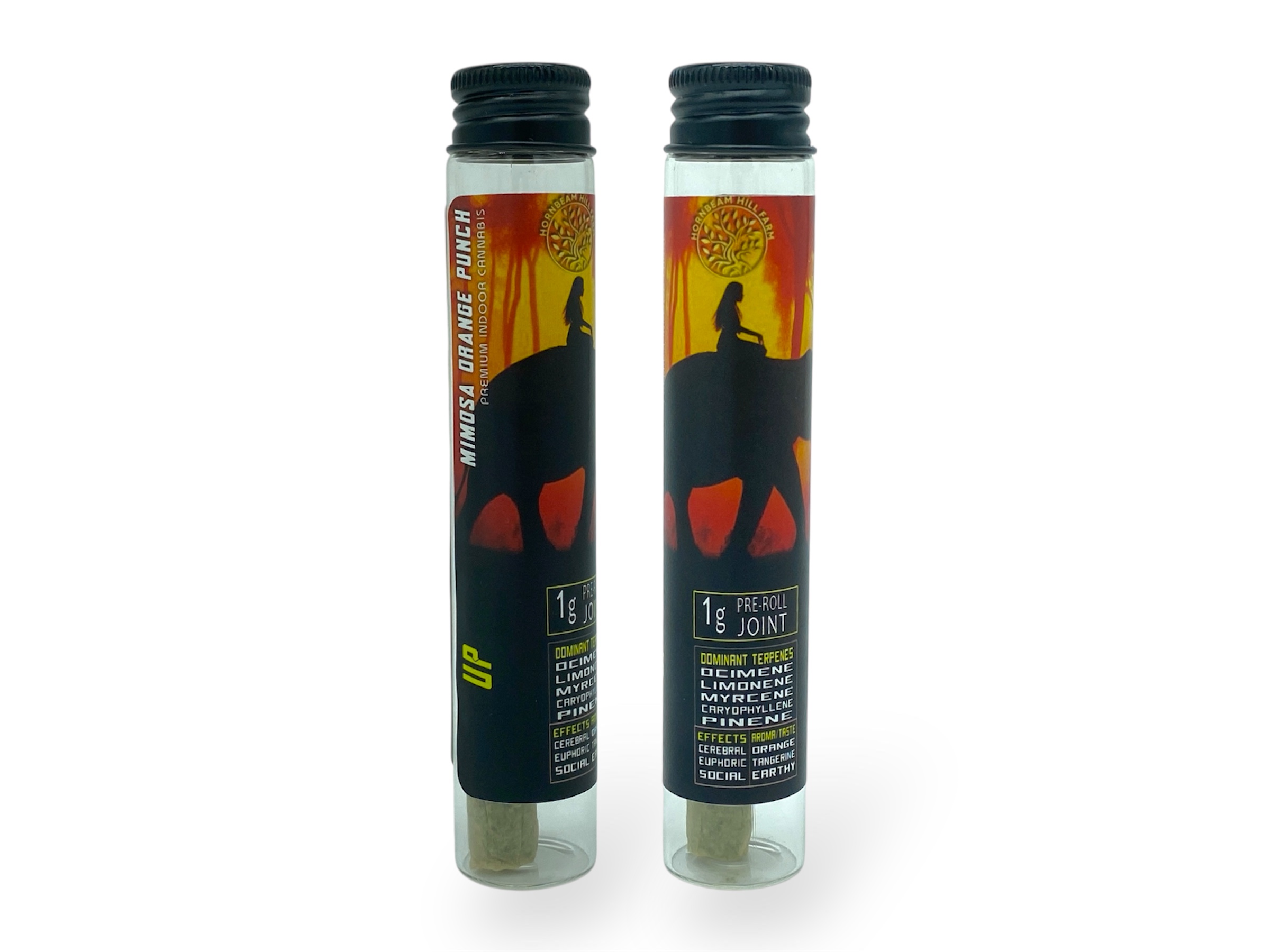 Photograph of product: Mimosa Orange Punch