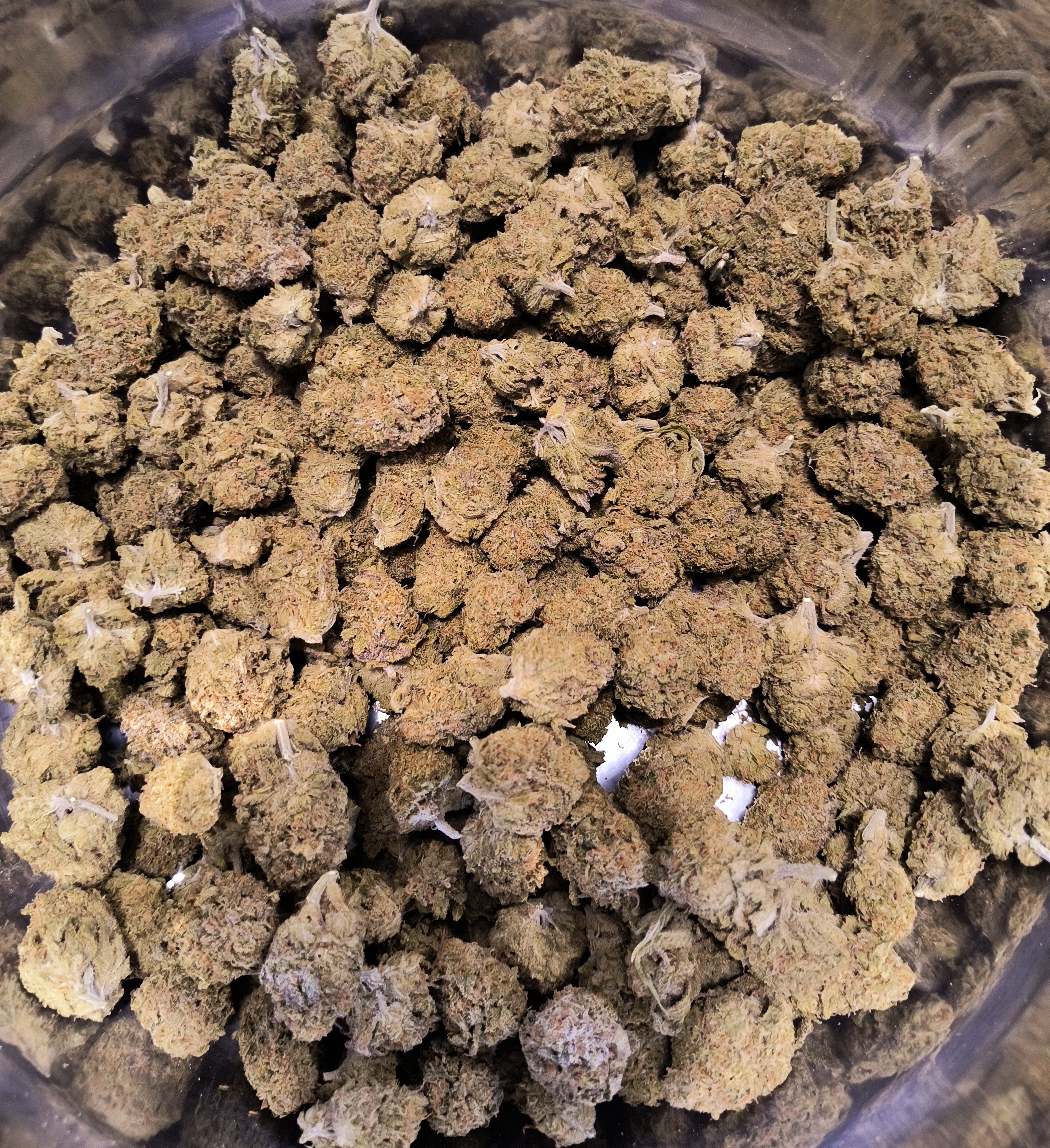 Photograph of product: Diamond Daze | Deli Style Flower | Grassroots - 28g