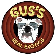 Photograph of product: Gus's Exotics - Prepack Flower - The Rizz - 3.5g