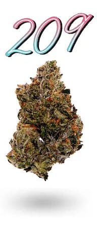 Photograph of product: OAKFRUITLAND 209 3.5G